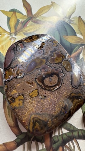 Boulder opal für edelstein - boulder,