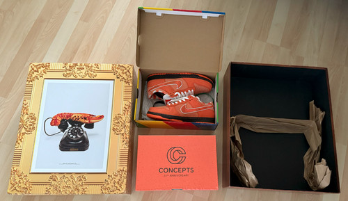Concepts orange lobster nike - orange,