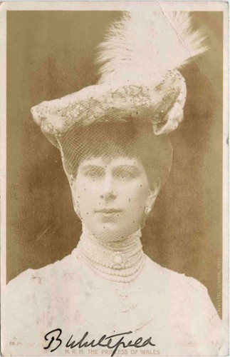 The princess wales - of, -467736