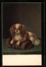 Künstler-AK M. Munk Nr. 176: Pekinese liegt auf der Decke 