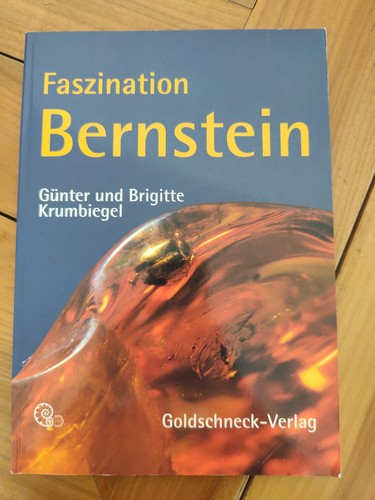 Faszination bernstein günter - bernstein,