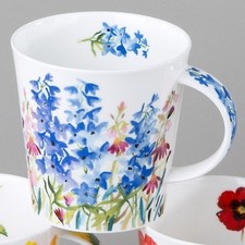 Dunoon Campagne Rittersporn