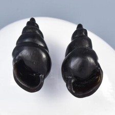 Schnecke Muschel Form Ohrring Paar Perlen Geschnitzt Schwarz Hörner Handgemacht