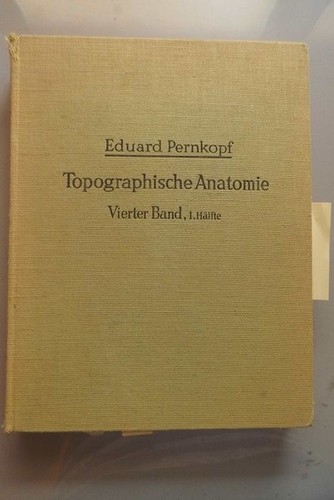 Topographische anatomie des - topographische,