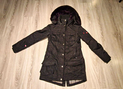 Canada goose expedition - goose, jungen