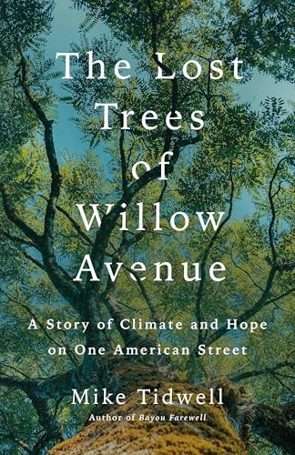 Lost trees willow avenue - trees,