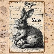 Blechschild hase mit - blechschild,