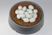 20 X Nesteier für Tauben