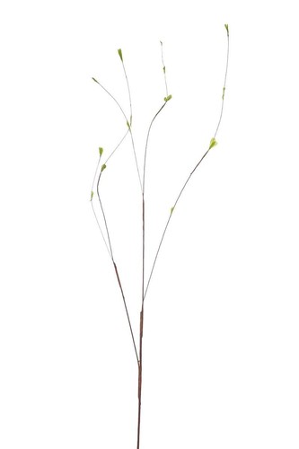 Artplants kunstzweig birke - artplants,