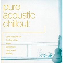 Pure Acoustic Chillout von Various [EMI Gold Series] | CD | Zustand sehr gut