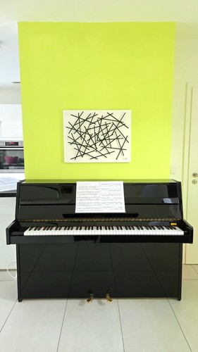 Schwarzes klavier royale - schwarzes,