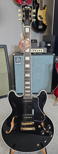 Fgn masterfield semi acoustic - fgn,