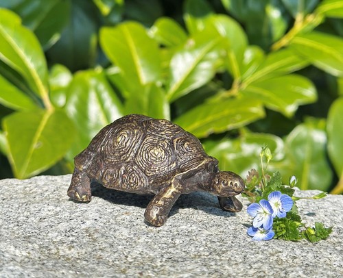 Bronzefigur schildkröte mini - schildkröte,