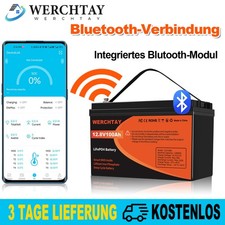 Bluetooth 12V 100Ah LiFePO4 Lithium Batterie BMS Akku Solaranlage Wohnmobil RV 