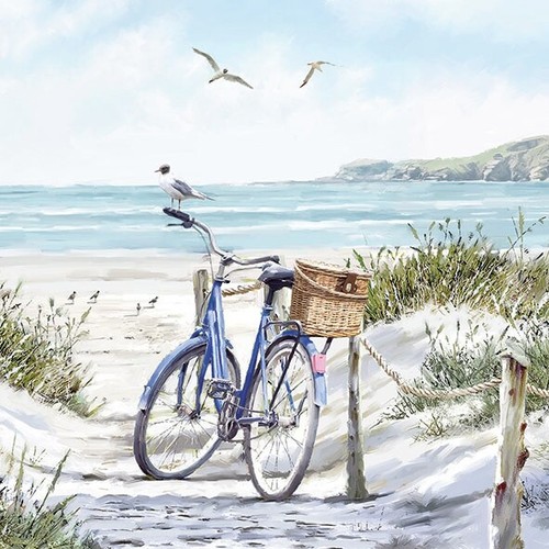Servietten bike the - 20, at