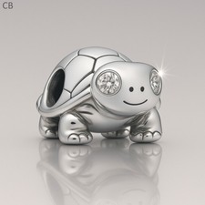 Helläugige Schildkröte