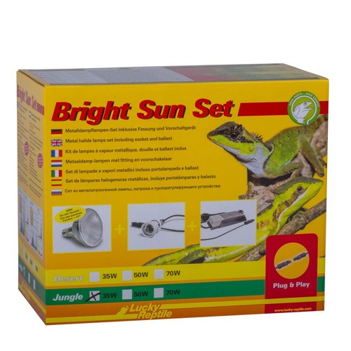 Lucky reptile bright - reptile, set