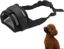 Maulkorb für Französische