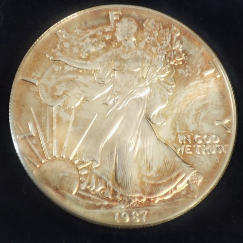 Silber dollar usa american - dollar,