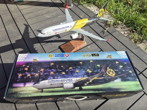 Boeing 737 800 - boeing, 1:100