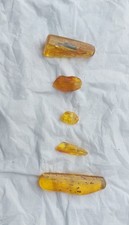 Bernsteine mit Inklusen