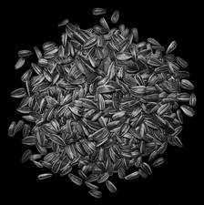 Sonnenblumenkerne gestreift 10