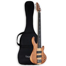 Fretless 6 String Electric