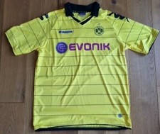 Borussia Dortmund 2010-11 Heim