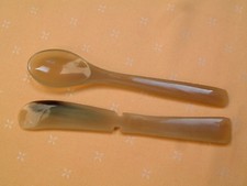 Exclusives Wasserbüffel Horn