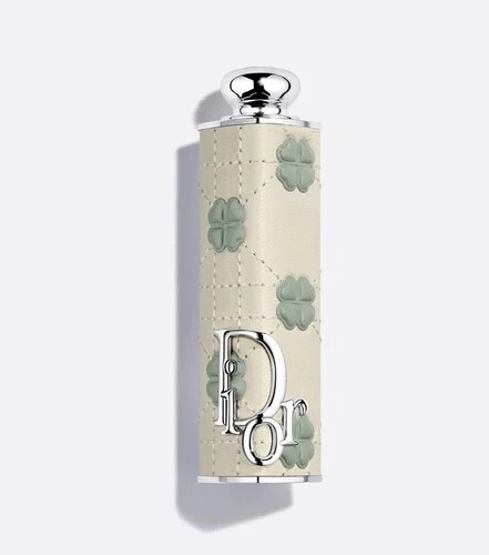Dior addict case - dior,