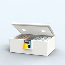 42 Hähnchenei Inkubator Fit