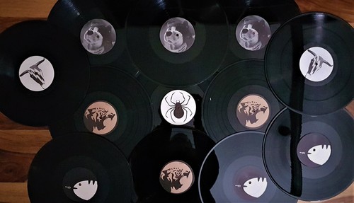 Vinyl schallplatten - 12,