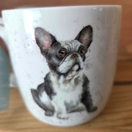 Tasse hund französische - tasse,