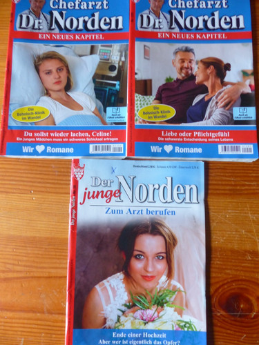 Romane chefarzt norden - 2,