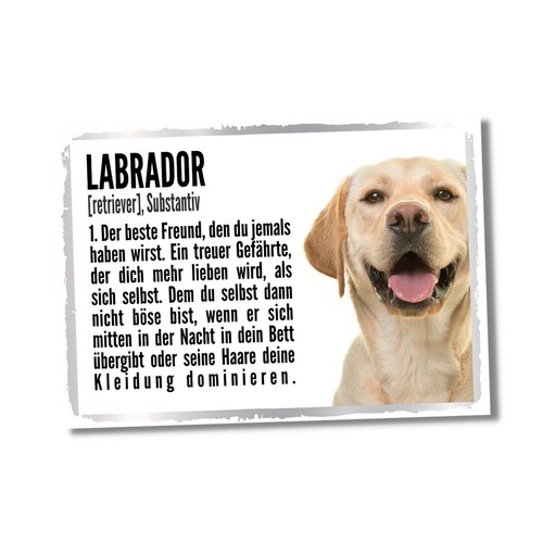 Labrador duden hund dog - duden,