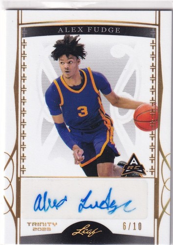 Leaf 2023 basketball nba - leaf,