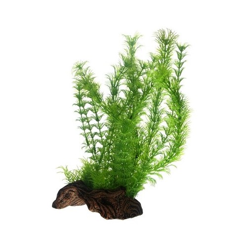 Hobby flora root 30 cm - flora,