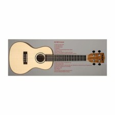 KALA Solid Spruce Top Concert