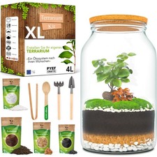 Flaschengarten Komplettset XL für Ökosystem im Glas - 4L Terrarium Pflanzen f...