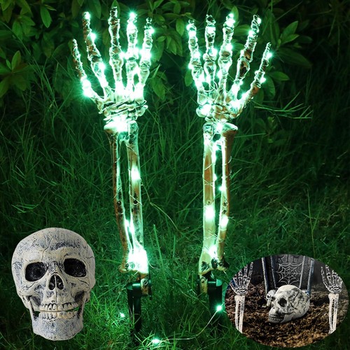 Skelett teile knochen - skelett,