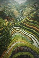 Wandbild: Reisterrassenfelder