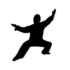 Tai chi aufkleber - aufkleber, auto