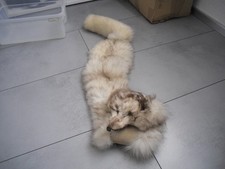 Pelz Stola   Fuchsfell  Top Zustand.