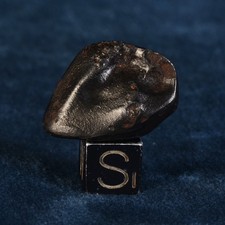 Sikhote Alin Meteorit 17,74g