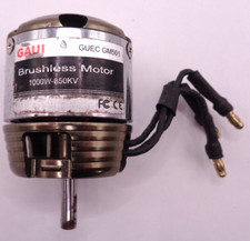 GAUI GM501 850KV 1000W