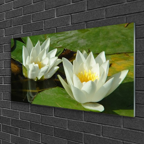 Glasbilder 100x50 wandbild - glasbilder,