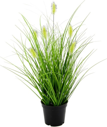 Künstliches fuchsschwanzgras - künstliches,