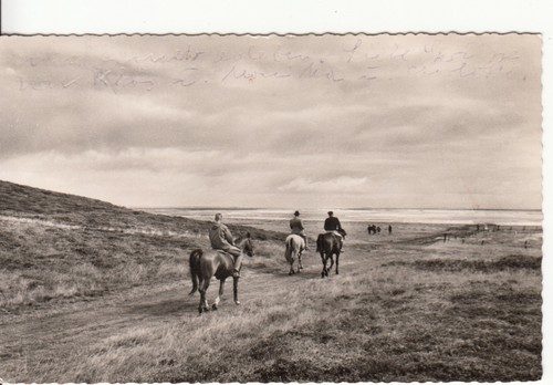 50893 kampen sylt - ak,