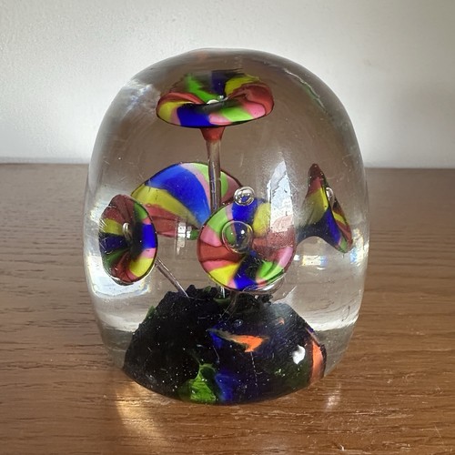 Großes paperweight glas - großes,