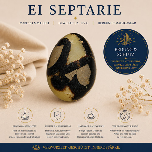 Septarien 177g madagaskar - septarien,